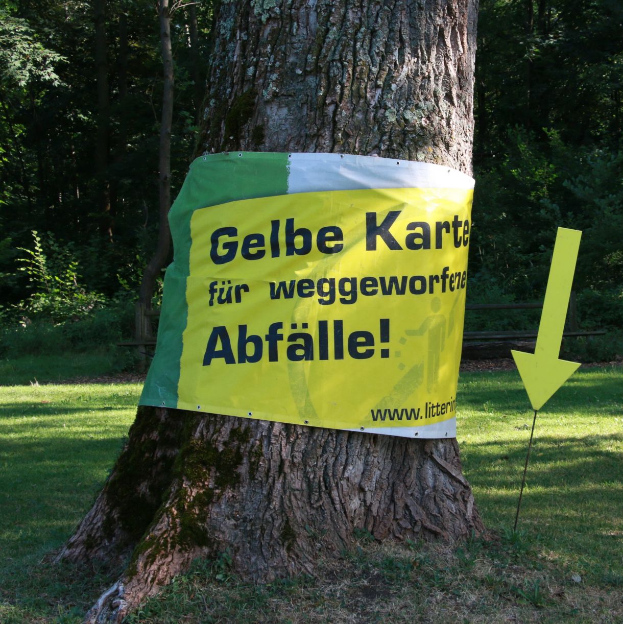 Bild: Vorarlberger Gemeindeverband